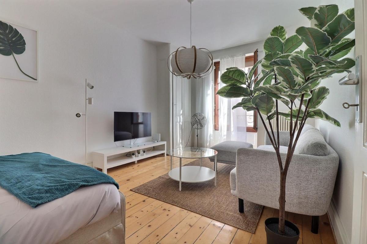 Apartamento P&r, 2 Room, Cosy, Heart Of Eaux-vives *